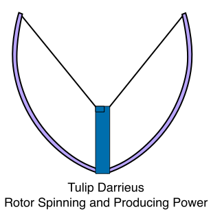Tulip Darrieus, Rotor Spinning and Producing Power